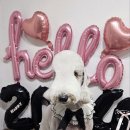 멍스베리 이미지