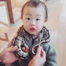양덕낚시터 | 포항 펀펀주 실내 미니동물원 &#39;-) 후기