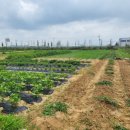 동그라미농장 이미지