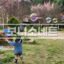 보니소네트 이미지