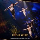 (주)태양 | 태양의 서커스 쿠자 솔직 후기🎪❤️ 스트레스 풀리는 이색 데이트