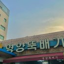 영양뚝배기 | 대구 달서구 죽전동 해장국 맛집 영양뚝배기 포장해서 먹어본 후기