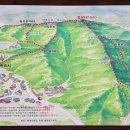 개인화물3682
