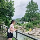 고향산천 | 포천 백운계곡 고향산천식당 후기, 당일치기 계곡 명소 추천