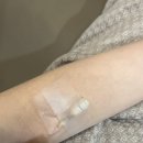 베스트팜 | 아이티웨딩/팜투어 건강검진 혜택 이용후기 :: 서울베스트의료의원