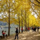 (주)은행나무 이미지