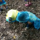 성광어린이집 이미지