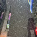 명진체육관 | (25.12) Good Goodbye 2025