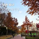 구덕공원 이미지