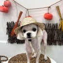 베리굿동물병원 이미지