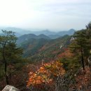 (주)가고파관광