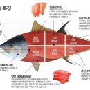 진참치본점 이미지