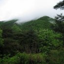 초록세상 이미지