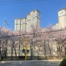 CU 역삼벚꽃길점 이미지