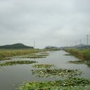 비금도한옥 이미지