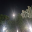 파리바게트 선비점 | 2018년 9월 22일~25일 직장인 데일리룩,추석 폭식+운동=변화x