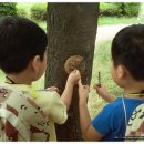 열린자리어린이집 이미지