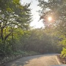 안동호반자연휴양림 이미지