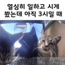 (주)나무 이미지