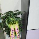종근당건강헬스벨스토리구미공단점 | 구미 종근당 키성장 공단동 헬스벨스토리