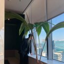 주식회사 금토 이미지