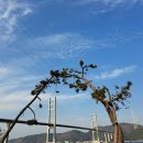 드림베이대로 이미지