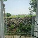 그린마멀레이드 이미지