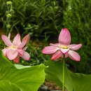 속초초등학교 이미지