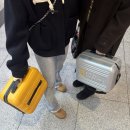 금쪽이 두명과 옥순이의 전주 1박2일 🫨