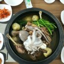 커피먹인닭 농장 이미지