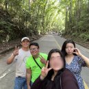 한울농장 | 보홀 1일차 일정_육상투어(나비농장,안경원숭이,초콜릿힐),우베코