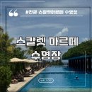 아티스코 | 칸쿤 스칼렛 아르떼 수영장 시간 위치 (메인풀, 아티스타스동 루프탑, 후에고동 루프탑)