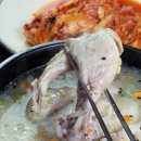 황금옻닭 - 세종특별자치시 | 황금옻닭