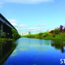 새천지약국 이미지