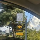 제주반디하우스 | 제주 동쪽 성산 신상 카페ㅣ분위기,말차 빙수 맛집ㅣ가이아띠어리