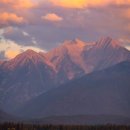 (주)메나리 이미지