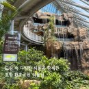 포항 실내 나들이하기 좋은 환호공원 식물원 이용 후기, 아이와 가볼 만한 곳