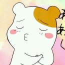 반디의꿈 이미지