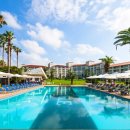 푸른 제주 이미지