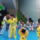 용인대스카이태권도 이미지