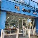 웰동물병원 | [인천 연수동 웰동물병원] 중성화 수술 후기&amp;비용-5개월 말티푸(남)