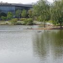 동천 갯벌공연장 이미지