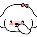 구공스테이 옥천키즈 이미지