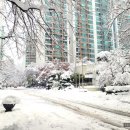 어울초등학교 | 수지 성복동 LG빌리지 2차 아파트 실거주 후기- 49·62평 대형 평형