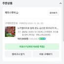 제우스 | 뉴카멜리아호 배타고 후쿠오카 당일 업그레이드 가격 제우스투어 후기