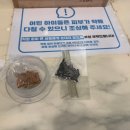 리프패럿 롯데마트 광복점 이미지