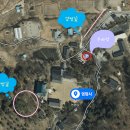 양평사 | 세종시 가볼만한곳 : 세종 영평사 겹벚꽃