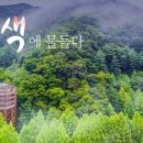 제311차 정기산행 - " 대전 장태산 "좌석(6.18) 이미지