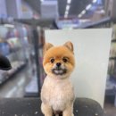 펫마트 강아지 논산점 이미지