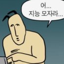와컴트립 | 여름이 좋으니깐 나는 코타키나발루에 가야해